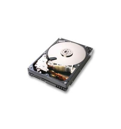 hgst-deskstar-7k1000-1000gb-serial-ata-ii-hard-disk-drive-1.jpg